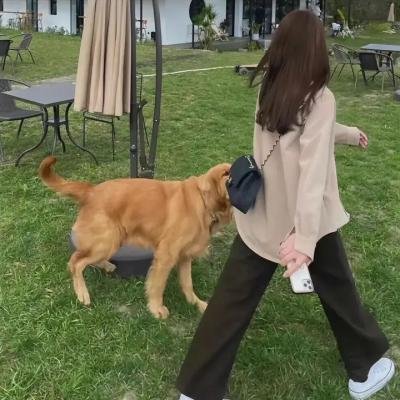 画舫风云粤语